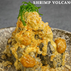 SHRIMP VOLCANO